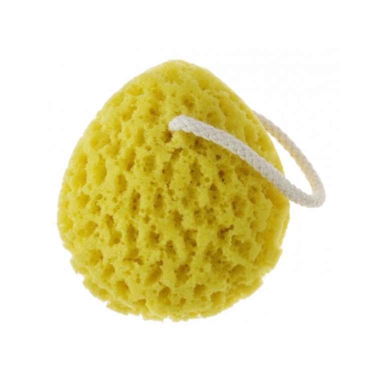Qvs Egg Shaped Luxury Bath Sponge