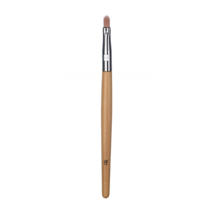 Qvs Lip Brush