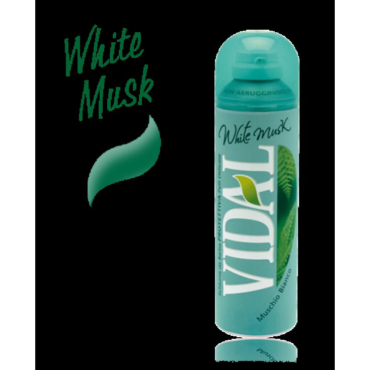 VIDAL FOAM BEARD WILD MUSK 300