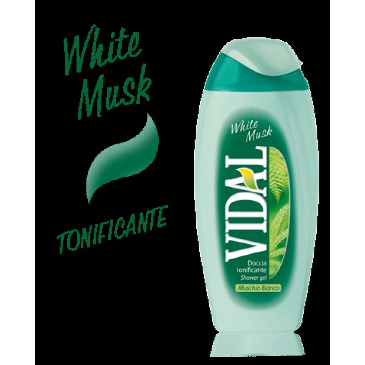 VIDAL D / S WILD MUSK 250 ML