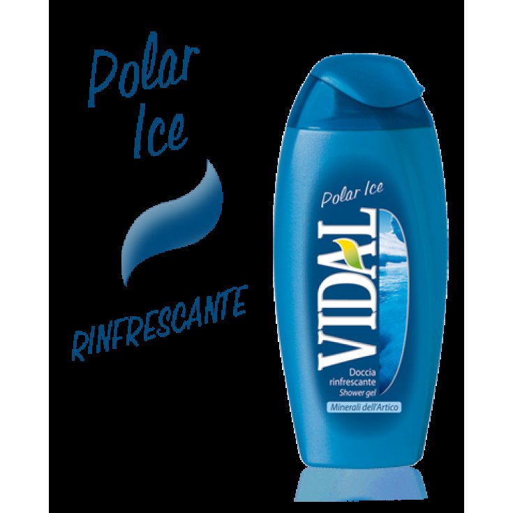 VIDAL D / S POLAR ICE 250 ML