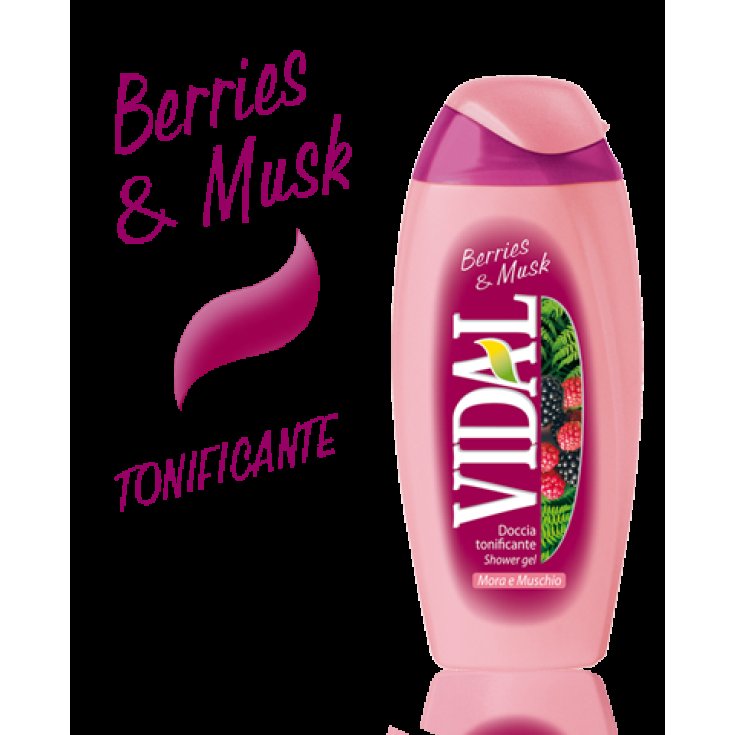 VIDAL D / S BLACKBERRY & MOSS 250 ML