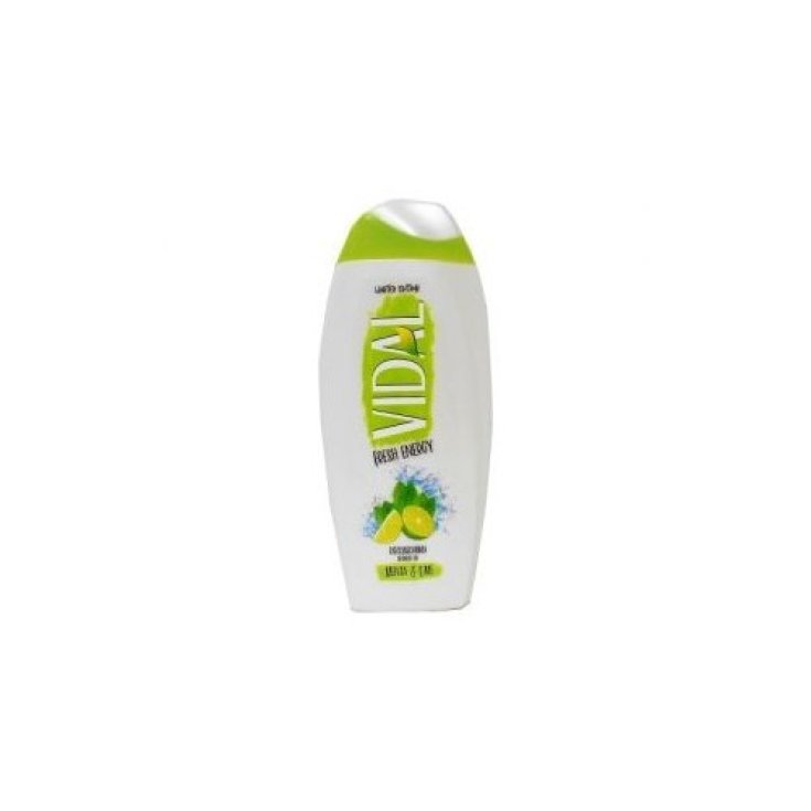 VIDAL D / S MINT AND LIME 250ML