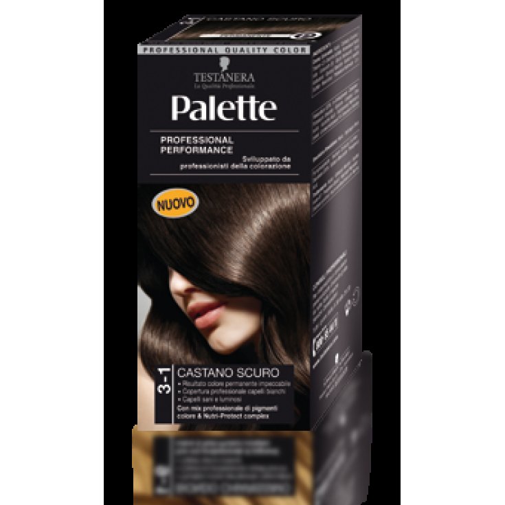 HEAD PALETTE 3-1 BROWN SC.