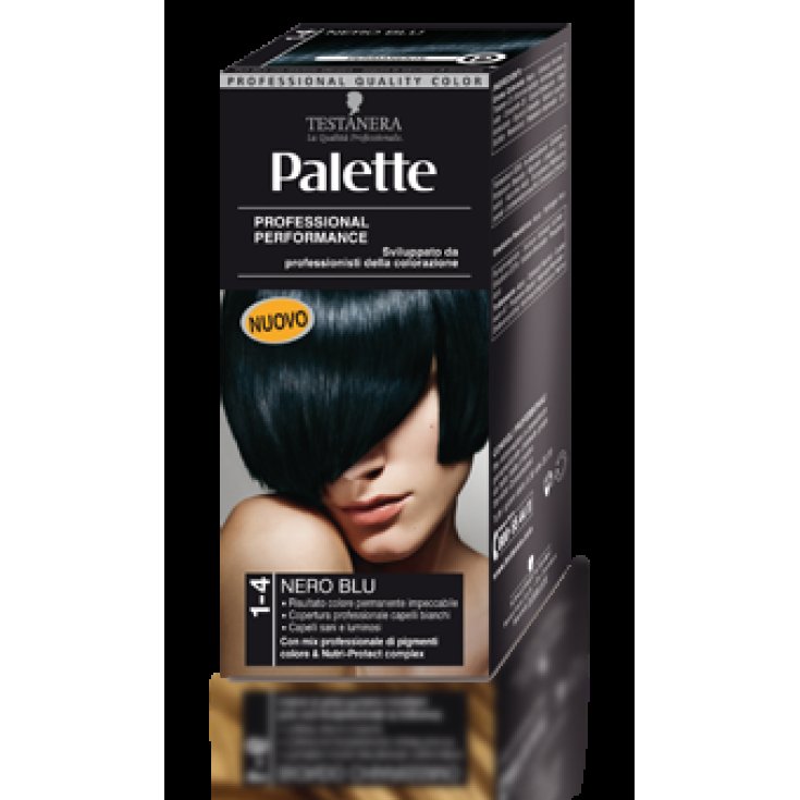 HEAD PALETTE 1-4 BLACK BLUE