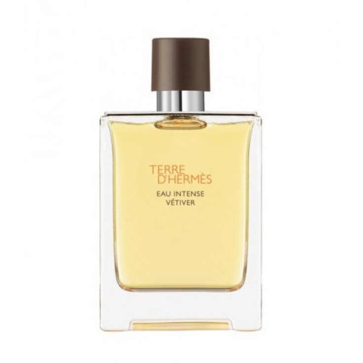HERMES TERRE VETIVER EDP 100 V