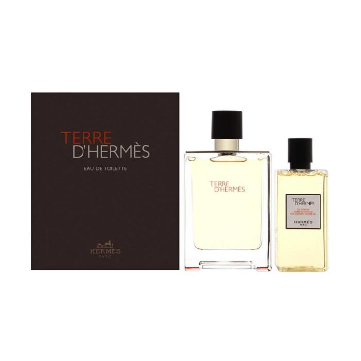 Hermès Terre D'Hermès Eau De Toilette Spray 100ml Set 2 Parts 2019