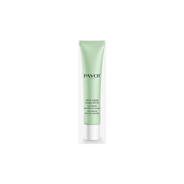 Payot Pâte Grise Soin Nude Spf30 40ml