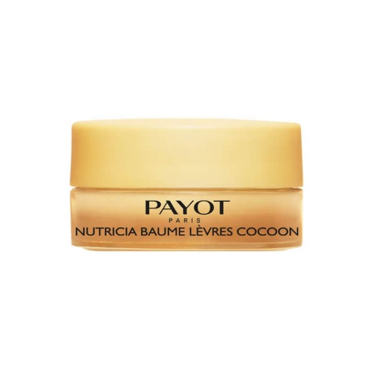 Payot Baume Lèvres Cocoon Nourishing and Comforting Treatment 6g