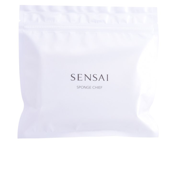 Kanebo Sensai Sponge Parts