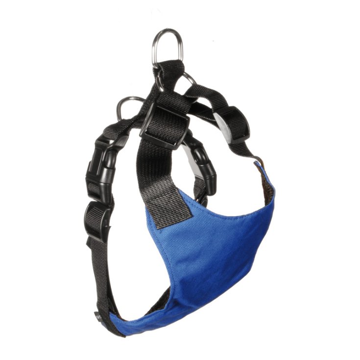 RECORD BIB FOR CAR NECK:42-62
