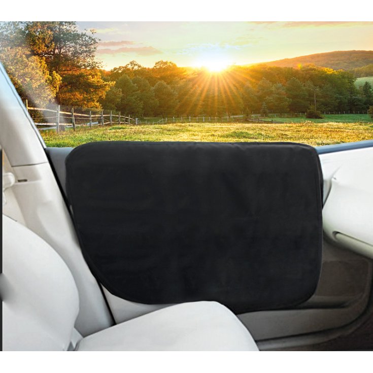 RECORD PROTECTION FOR CAR DOORS 66X5