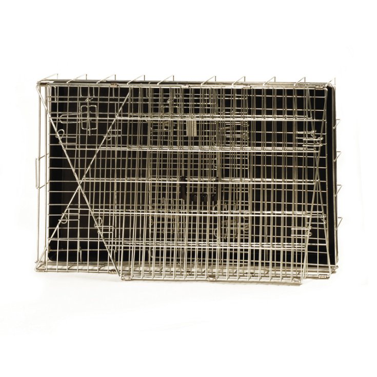 RECORD OBLIQUE IRON CAGES S 78X48,7