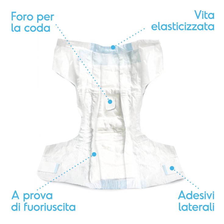 RECORD ABSORBIPIU 12 DIAPERS M 35-52 C