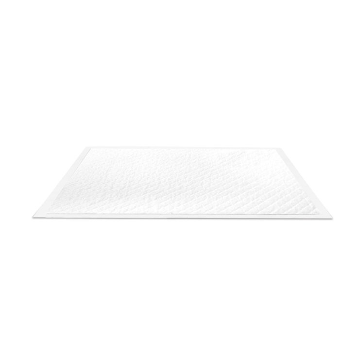 RECORD ABSORBIPIU 11 ABSORBENT MATS
