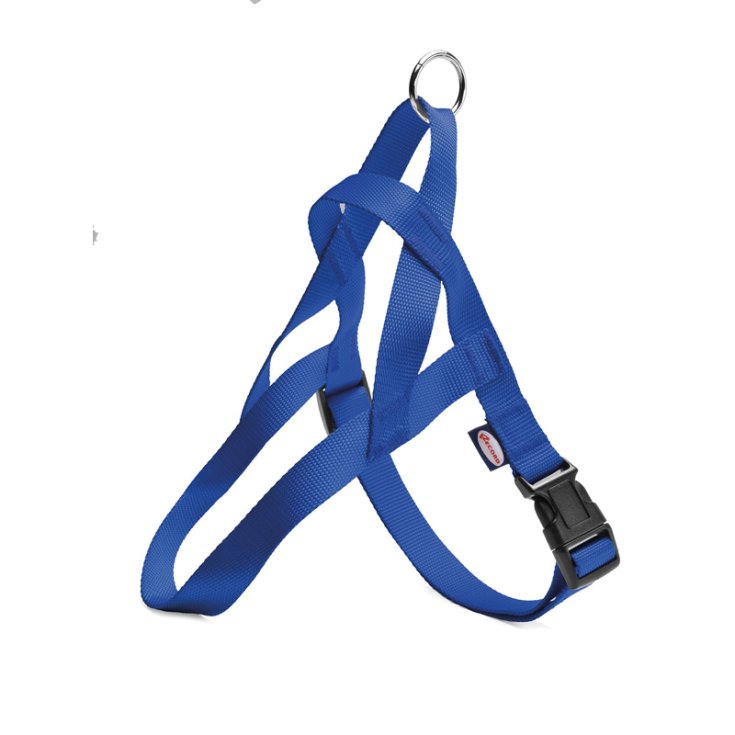 RECORD HARNESS NYLON COMFORT BLUE 2,5X7