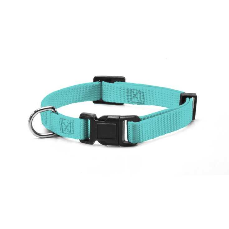 RECORD NYLON COLLAR WITH AQUAMARINE CLIP