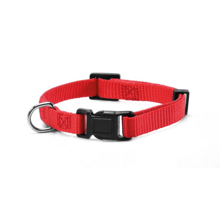 RECORD NYLON COLLAR WITH CLIP RED XS 1