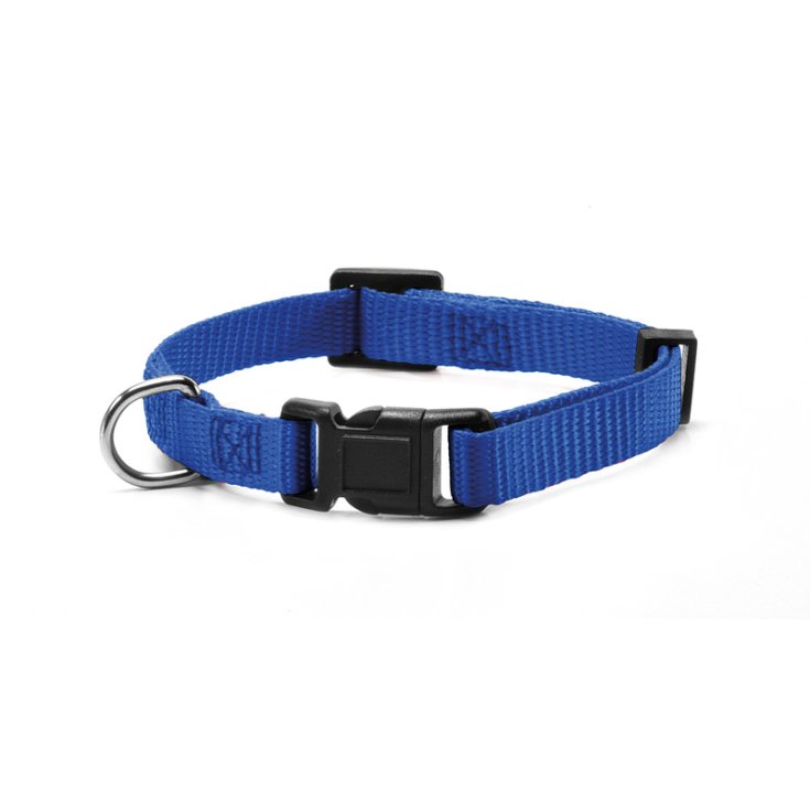RECORD NYLON COLLAR WITH BLUE CLIP M 2X40