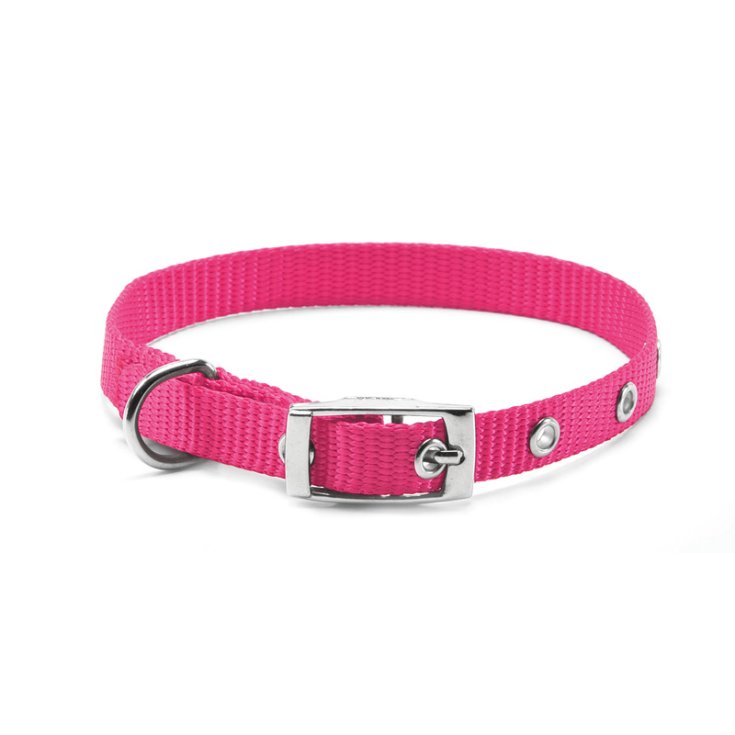 RECORD NYLON COLLAR WITH PINK BUCKLE 1X2