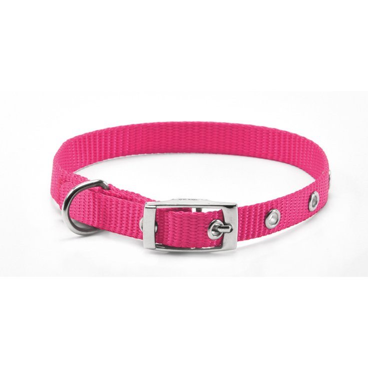 RECORD NYLON COLLAR WITH PINK BUCKLE 2X4