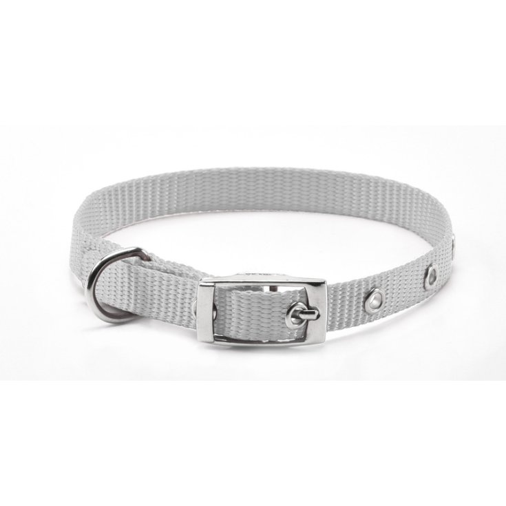 RECORD NYLON COLLAR WITH GRAY BUCKLE 2