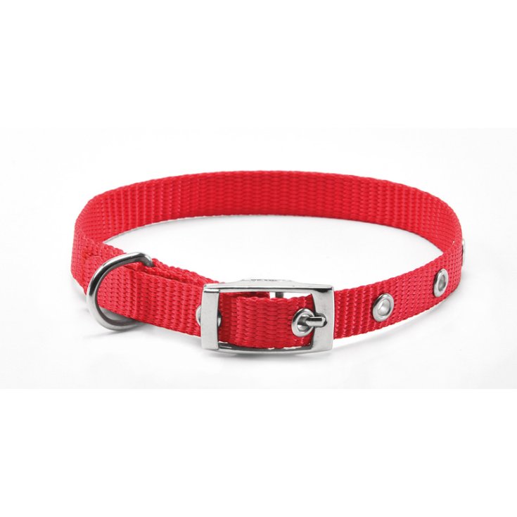 RECORD NYLON COLLAR WITH RED BUCKLE 2,