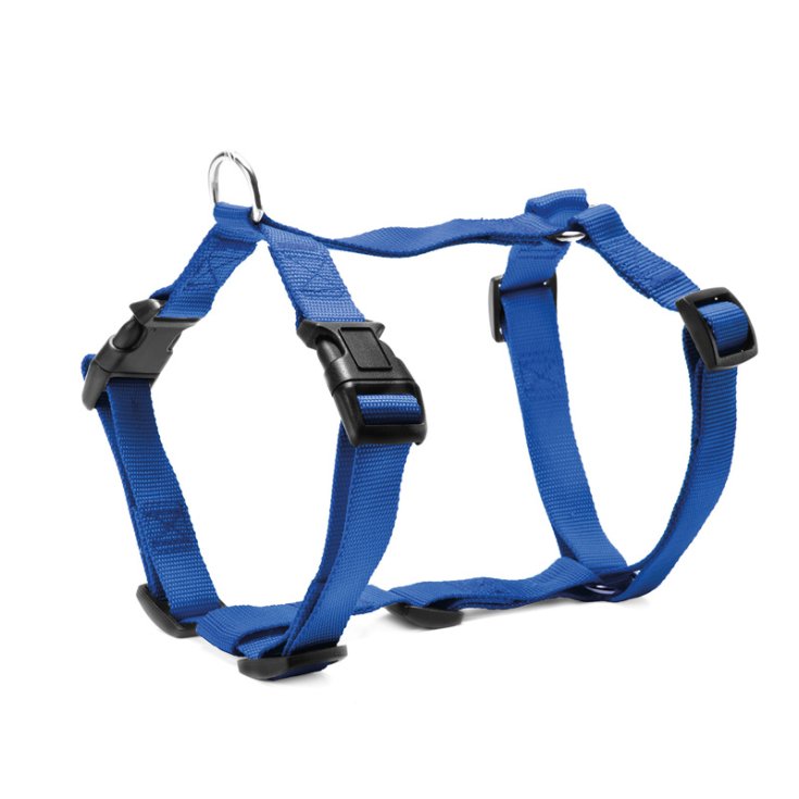 RECORD BLUE ADJUSTABLE NYLON HARNESS 2