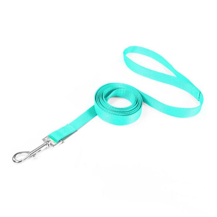 RECORD BASIC AQUAMARINE LEASH 1,9X