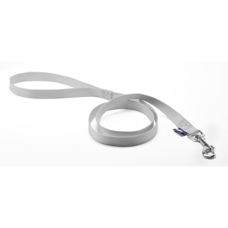 RECORD GRAY NYLON LEASH 1,9X180 C