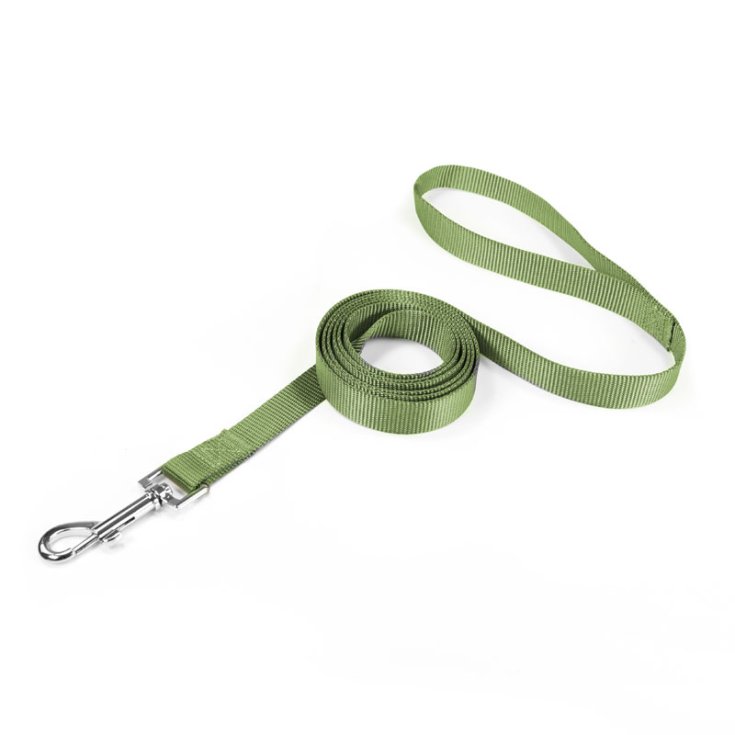 RECORD BASIC GREEN LEASH 2,5X100