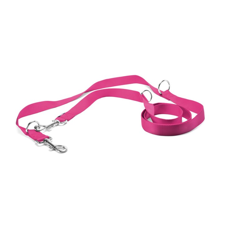 RECORD NYLON TRAINING LEASH RO
