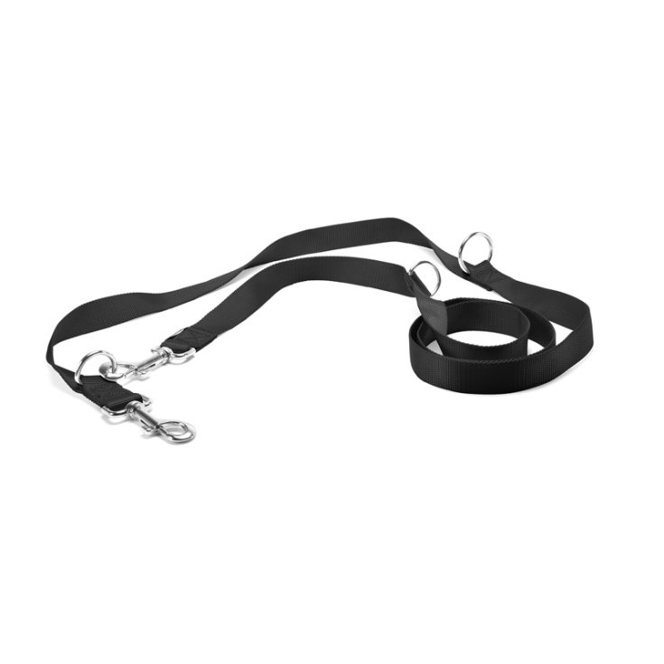 RECORD LEASH NYLON TRAINING NE