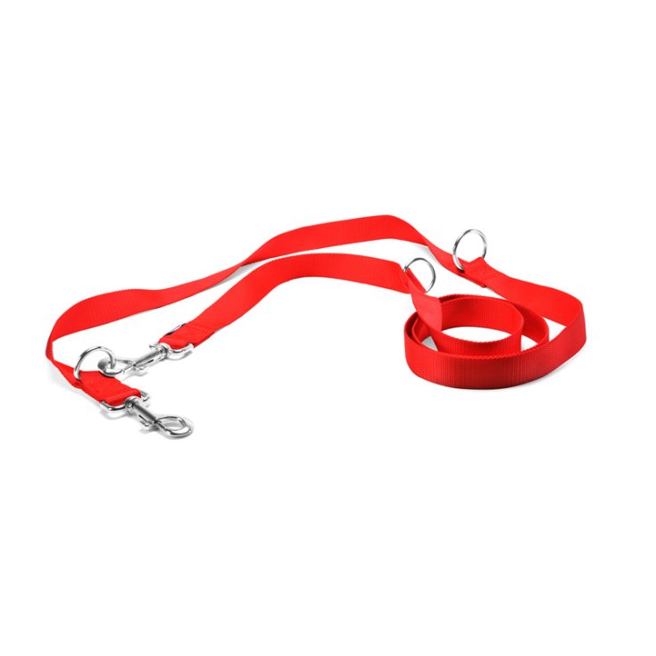 RECORD NYLON TRAINING LEASH RO