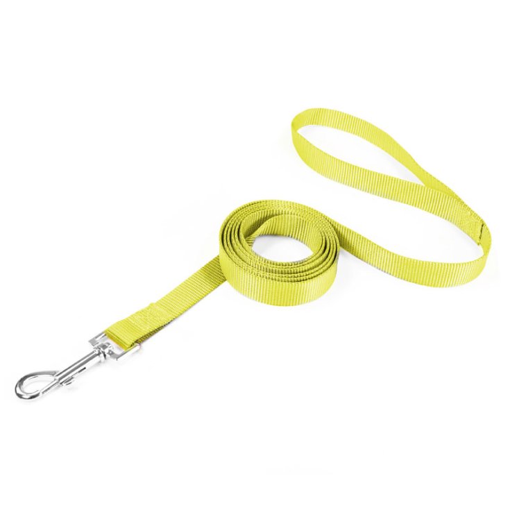 RECORD BASIC YELLOW LEASH 1,6X100