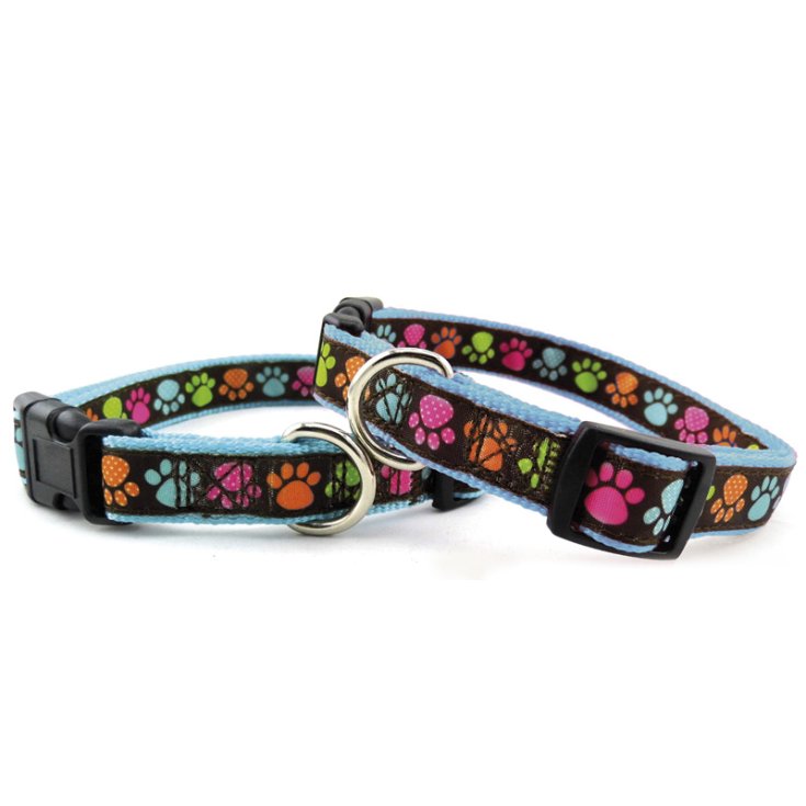 RECORD PAWS BLUE NYLON COLLAR 1,6