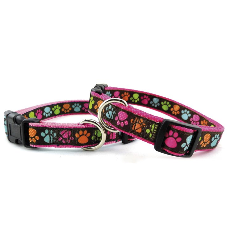 RECORD PAWS PINK NYLON COLLAR 1,6X30