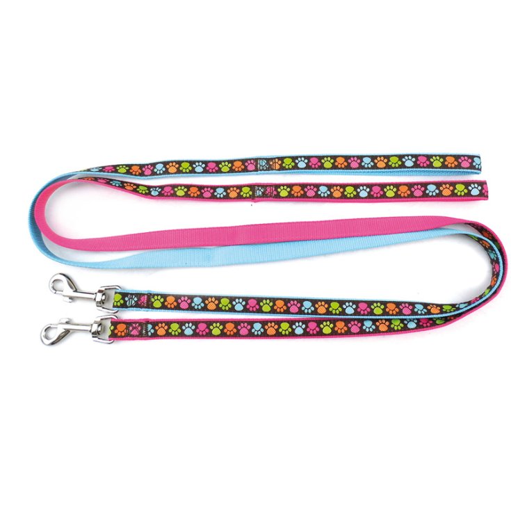 RECORD PAWS PINK NYLON LEASH 1,6