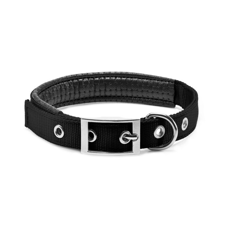 RECORD BLACK SOFT PADDED NYLON COLLAR