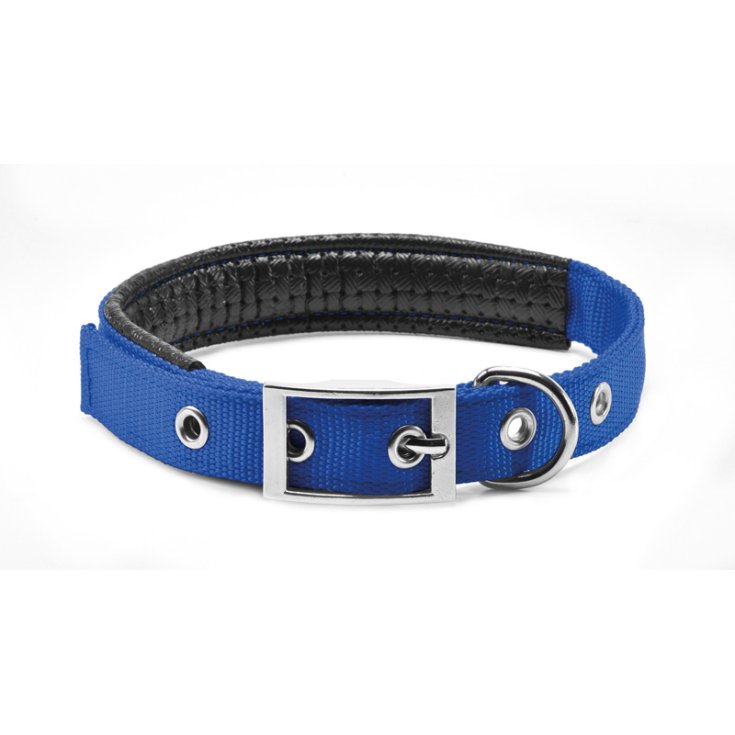 RECORD BLUE SOFT PADDED NYLON COLLAR