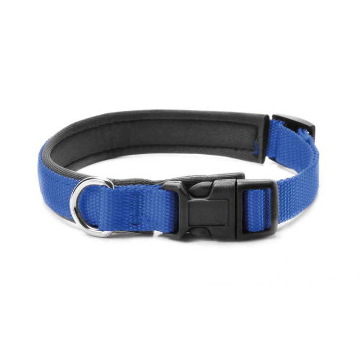 RECORD COLLAR NYLON WITH NEOPRENE BLUE 2,