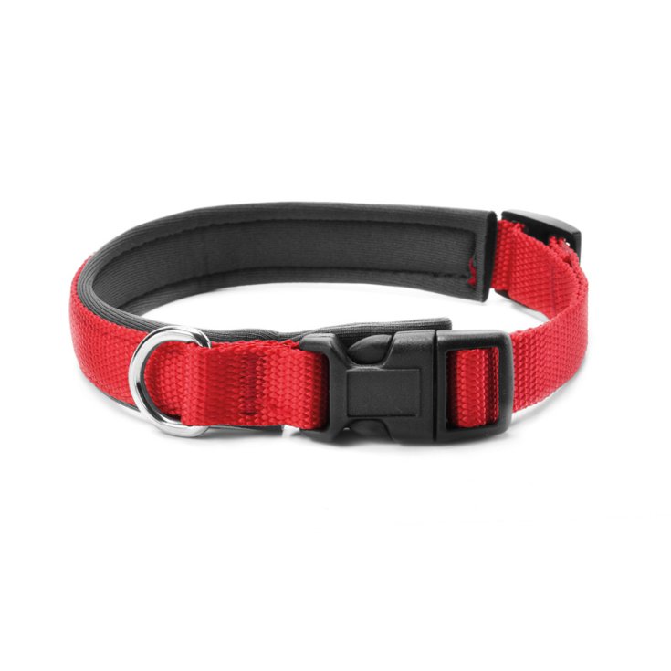 RECORD NYLON COLLAR WITH RED NEOPRENE