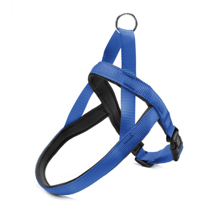 RECORD NYLON HARNESS WITH BLUE NEOPRENE