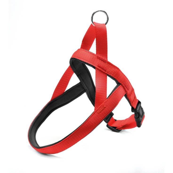 RECORD HARNESS NYLON WITH NEOPRENE RED