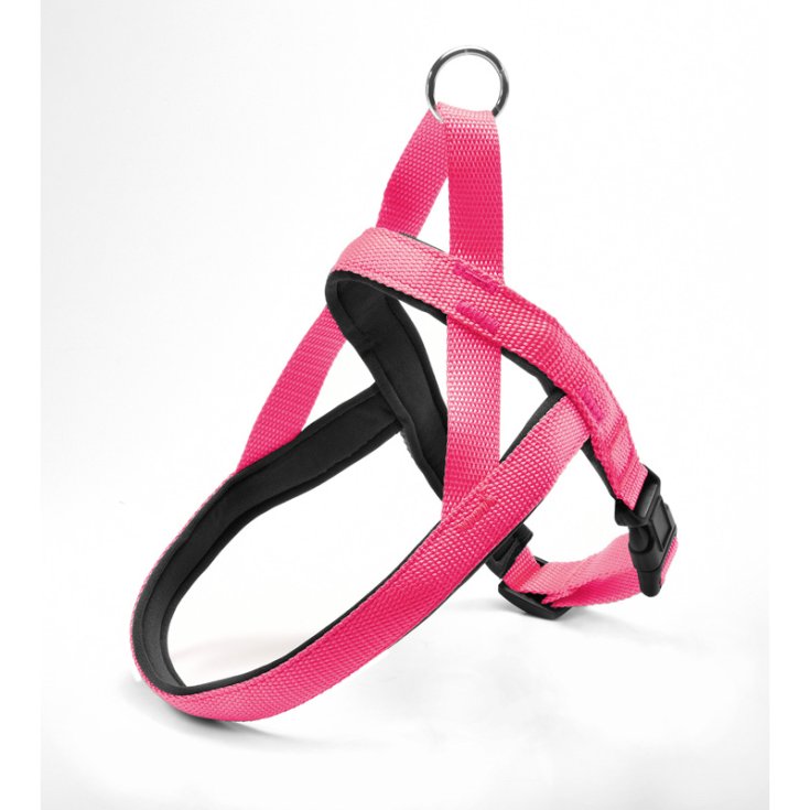 RECORD NYLON HARNESS WITH PINK NEOPRENE