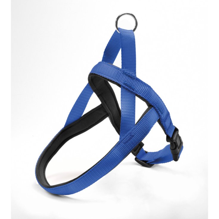 RECORD NYLON HARNESS WITH BLUE NEOPRENE
