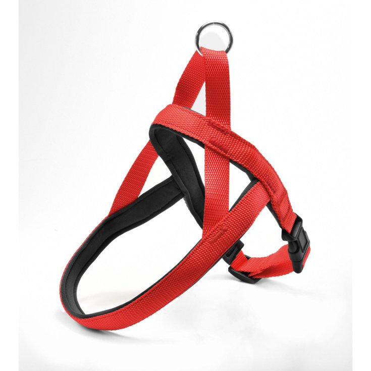 RECORD HARNESS NYLON WITH NEOPRENE RED