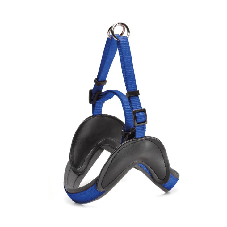 RECORD EASY NYLON HARNESS WITH NEOPRENE