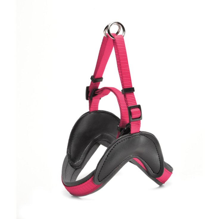 RECORD EASY NYLON HARNESS WITH NEOPRENE