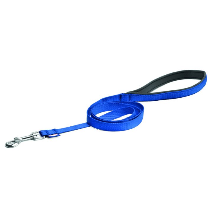 RECORD LEASH NYLON WITH BLUE NEOPRENE